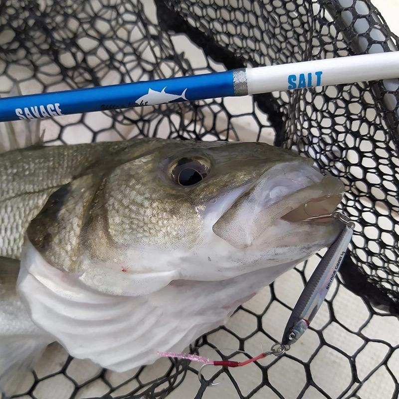 Savage Gear 3D Jig Minnows